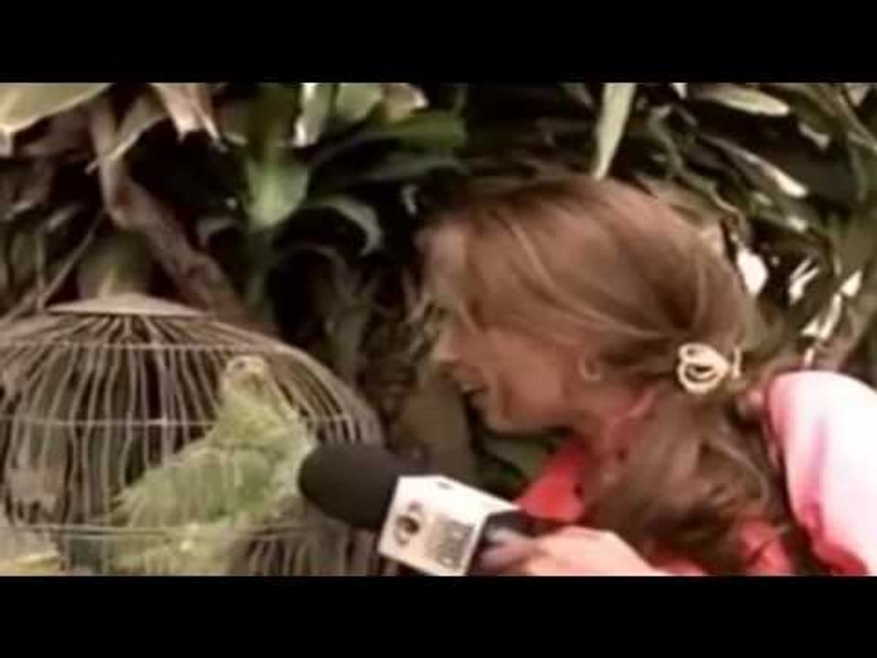 LORO SACADO