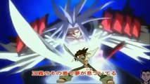 shaman king br