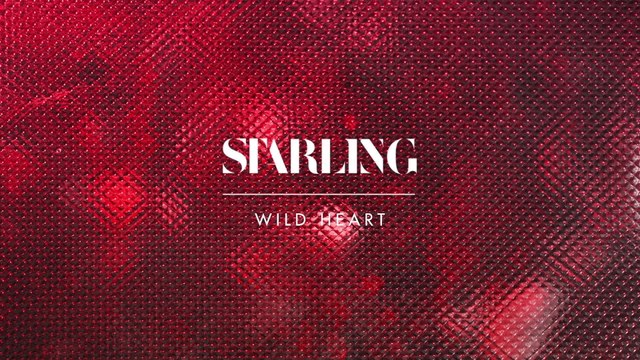 Starling - Wild Heart