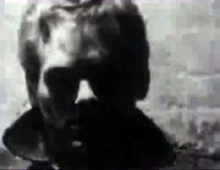 fancy cat considers the possibilities