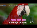 { Karaoke } Em Nhớ Anh Vô Cùng - Hồ Huỳnh Hương