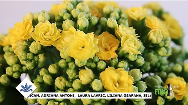 Atena Bratosin Stoian - La crestini in postul mare (Vatra cantecelor noastre - ETNO TV - 12.04.2017)