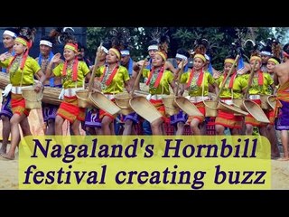 Nagaland's Hornbill festival charms tourists; Watch Video | Oneindia News