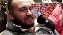 16 القطط مضحك | لطيف القط فيديو تجميع 2017