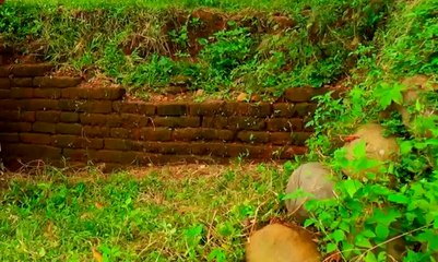 Struktur Batu Dipercaya Merupakan Peninggalan Majapahit