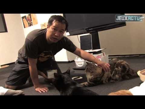 Tokyo Game Show 2012 : visite guidée d'un Neko Café (bar à chats) au Japon
