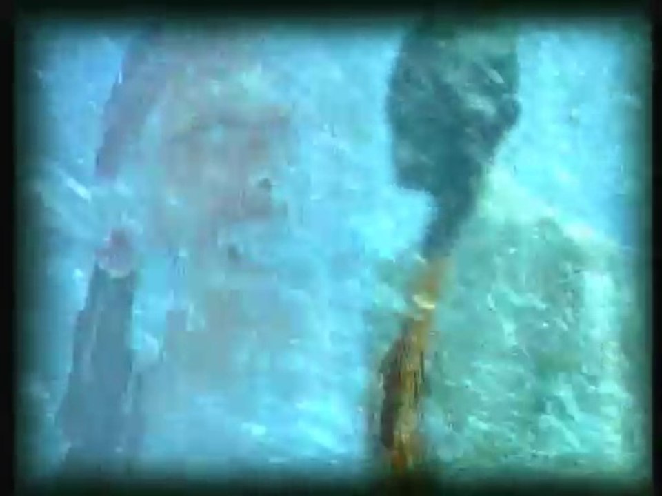 Thierry Cham - Océan