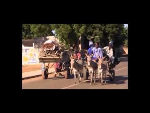 Toubatoul: les jeunes de l'APRont choisi Fatou Séné pour les élections locales