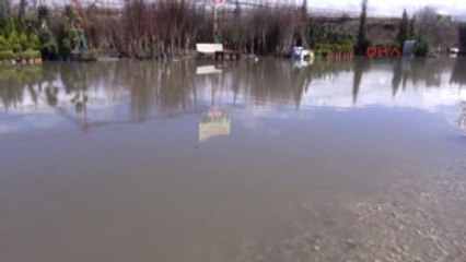 Erzincan Sağanak Yağış, Fidanlıkları Sular Altında Bıraktı