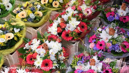Promenez-vous dans les fleurs...