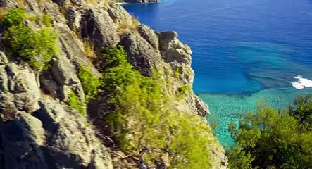 Disneynature's Dolphins Trailer #1 (2017) - Movieclips Trailers