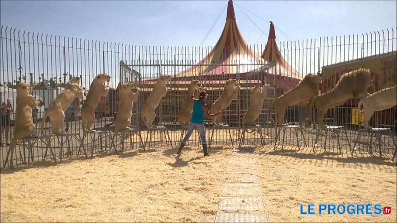 Il dompte les fauves du Cirque Pinder