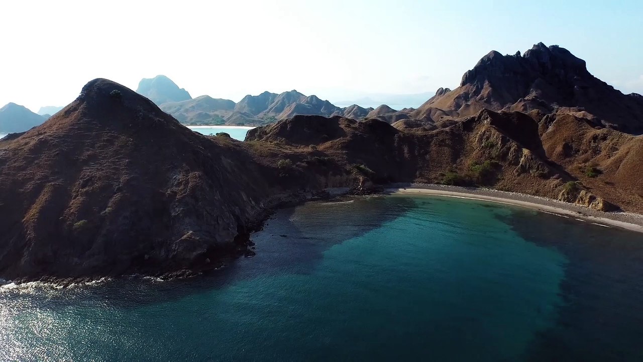 Le dragon de Komodo