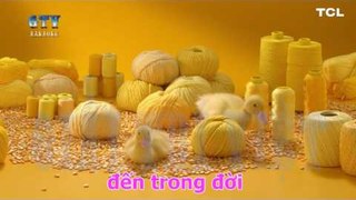 Karaoke } Duyên Tình - Trịnh Nam Sơn