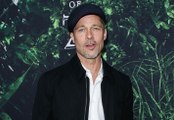 Brad Pitt Steps In To Save His Kids After Scary Incident Under Angelina's Care