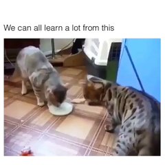 we can all learn alot from this