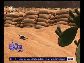 غرفة الأخبار | اجتماع مغلق لتقصي حقائق فساد القمح لإعداد التقرير النهائي