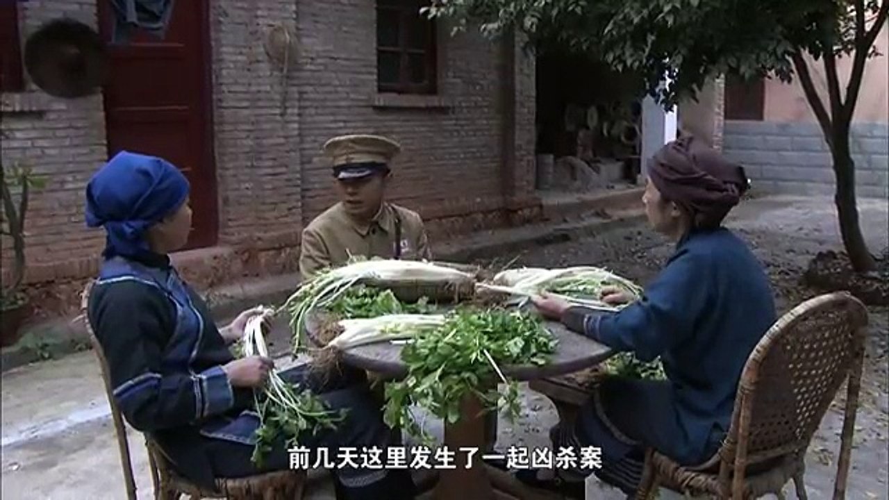 盾神 08 主演：冯远征/秦海璐/陶昕然/王俊彭/姚安濂
