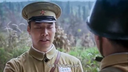 盾神 15 主演：冯远征/秦海璐/陶昕然/王俊彭/姚安濂
