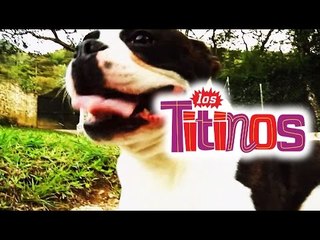 Los Titinos - Canción Mi Perrito Juancho (Videoclip)