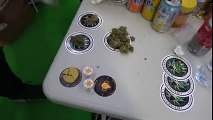 Spannabis 2017 - Devils Harvest Seeds