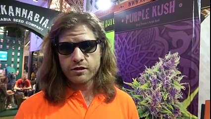 Spannabis 2017 - kannabia seeds