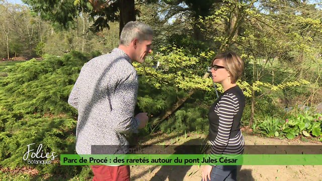 Folies Botaniques au Parc de Procé #2 : pont Jules César