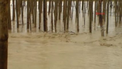 Muş Karasu Taştı, Evler Su Altında Kaldı