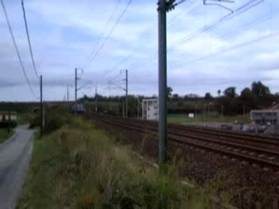 Ter