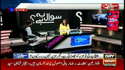 PM only makes announcement, does nothing practically: Murtaza Wahab