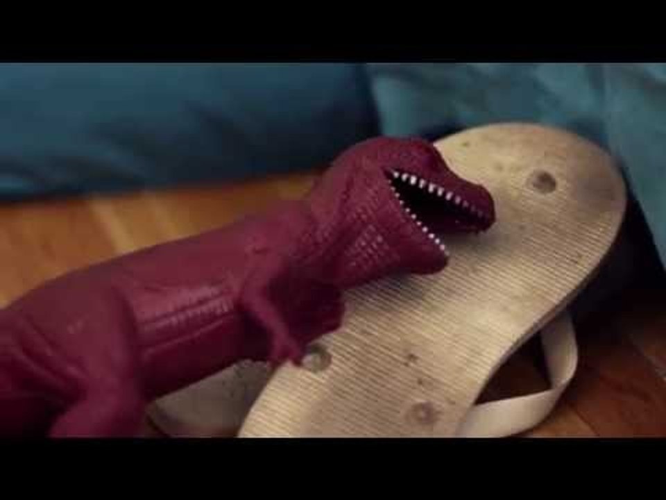 Rex compra cosas