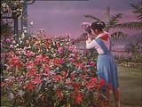 彩调戏《三朵小红花》（上）1965