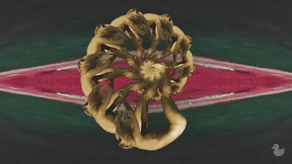 Robert Burian - I'm coming