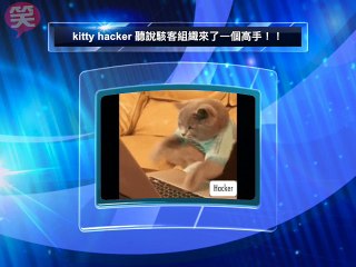 kitty hacker 聽說駭客組織來了一個高手！！