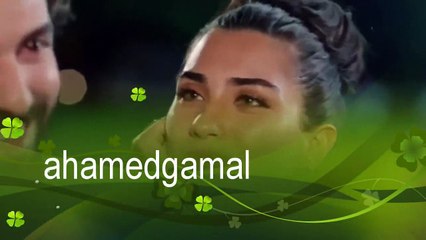 اغنية رومانسية بحبك اوى عمر واليف