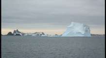Cuando el continente blanco, la Antártida, fue alguna vez verde