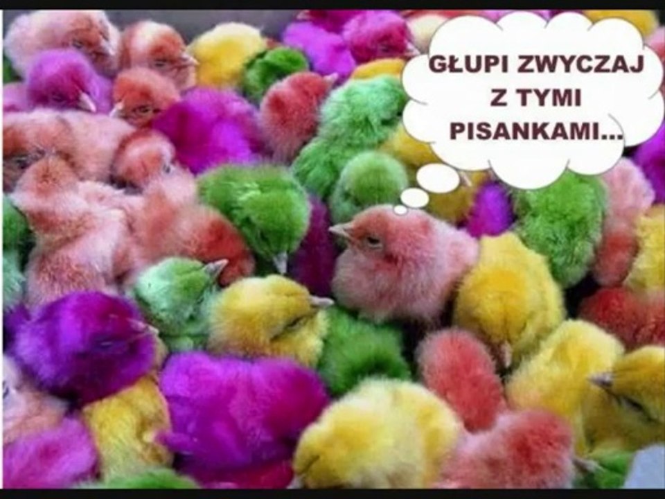 Wszystkim znajomym i nie znajomym zycze wesołych świąt