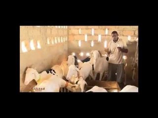 Guétt Gui 2014 N°1 du 10 Janv 2014