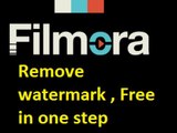 How to Remove Watermark in Wondershare Filmora - Free way