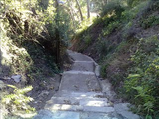 Per un tros del teu cos