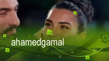 اغنية رومانسية انت الوحيد عمر واليف