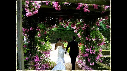 cheb Bilel ( mlovi 3lik ) , الشاب بلال ( ملوفي عليك )