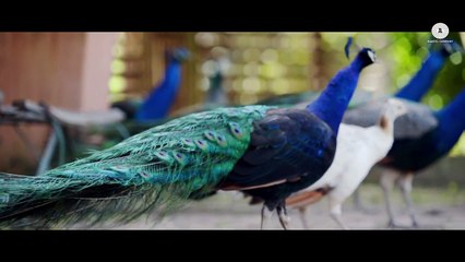 Meherbani Video - The Shaukeens (2014) HD Song