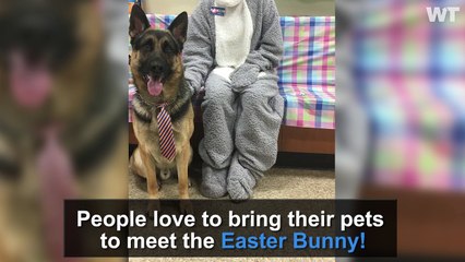 Pets Meet The EASTER BUNNY!