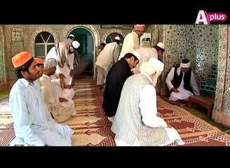 Main Mar Gai Shaukat Ali - Episode 25 | APlus Entertainment