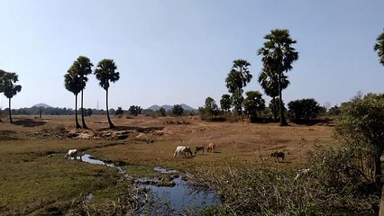 'FACE OF RURAL INDIA' (A Documentary Film) - Directed by Dipak Kumar Singh