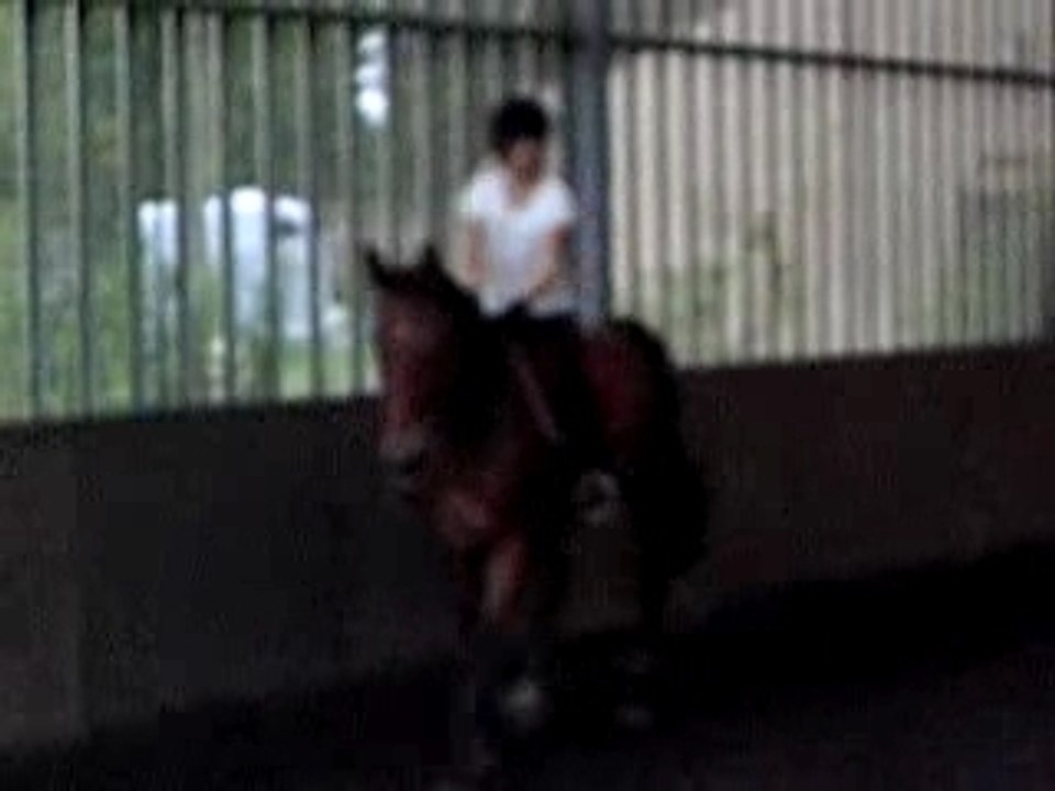 Hermes II et moi sur un tout petit croisillon