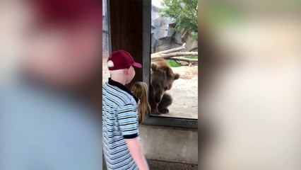 Une petite fille joue à cache cache avec un ours !