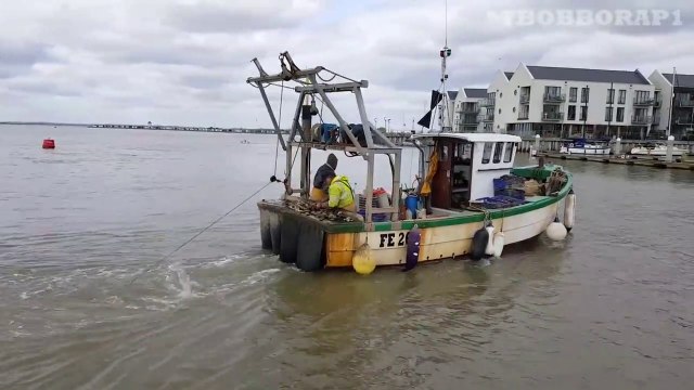 BRIGHTLINGSEA HARBOUR - PROMENADE CINQUE PORT ESSEX IN UK - OYSTER DREDGING - BATEMANS TOWER - 2017-ixN8Lm6gY