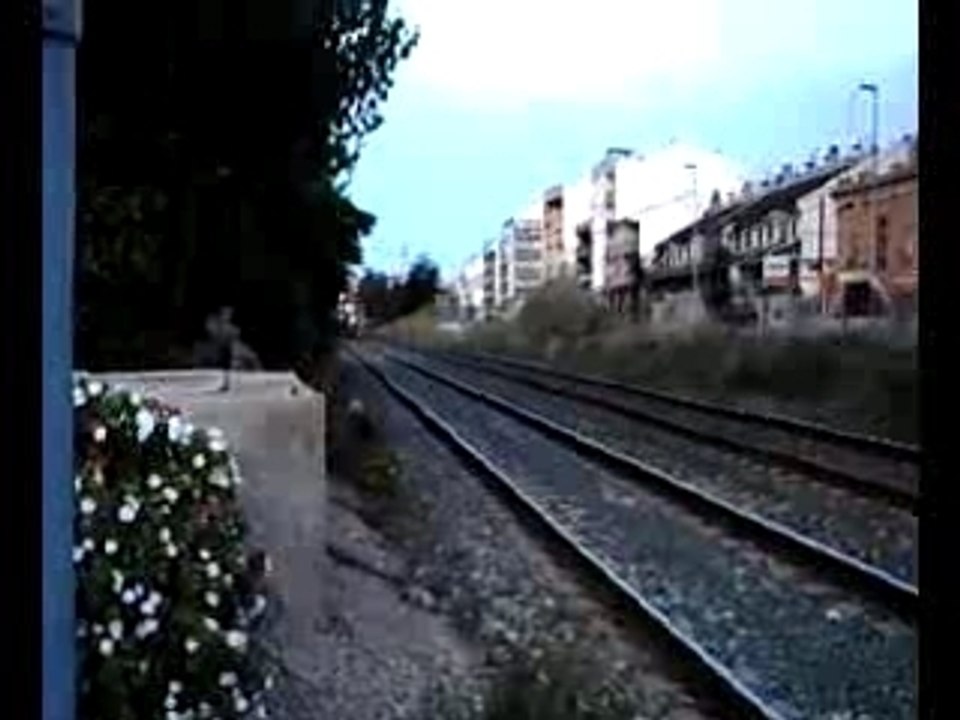 Trenes
